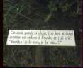 sentierimage6.JPG